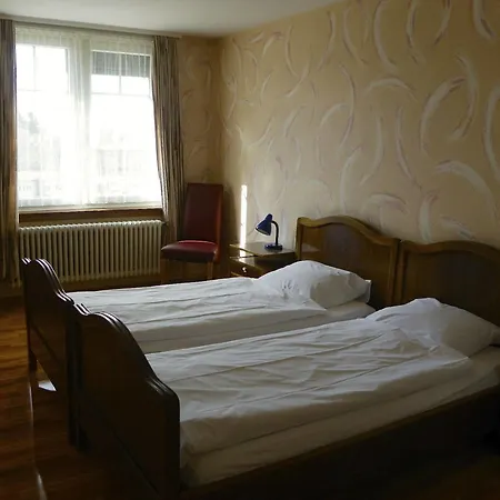 Limmathof Hotel 2*